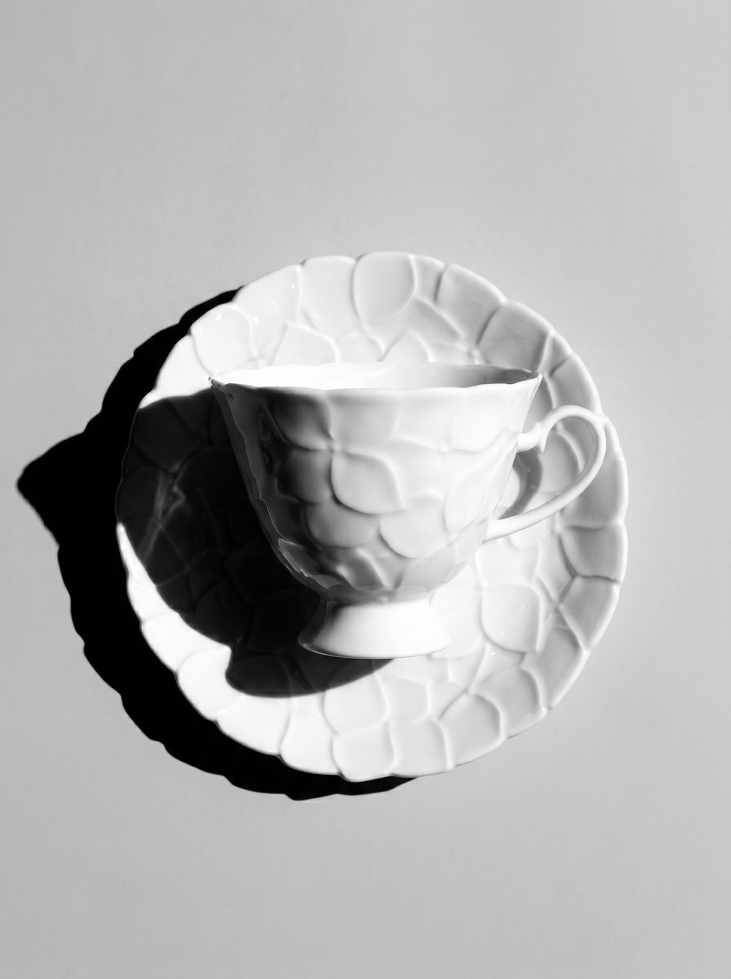 front view of Japanese white koransha teacup with a short handle and a saucer on a sodt grey background