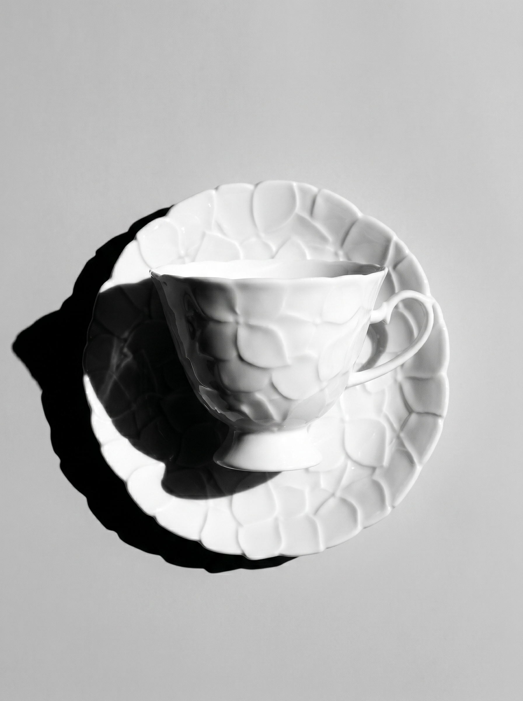 front view of Japanese white koransha teacup with a short handle and a saucer on a sodt grey background
